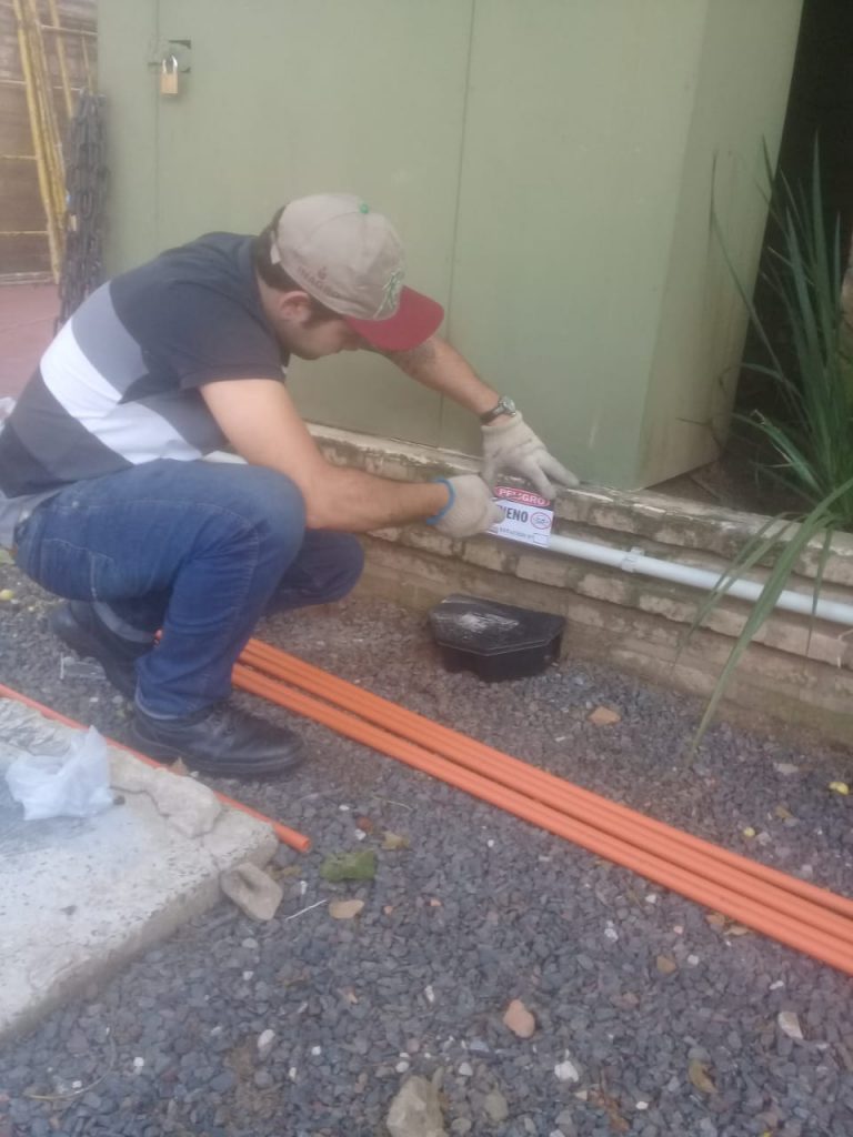 Inspección para posterior control de plagas