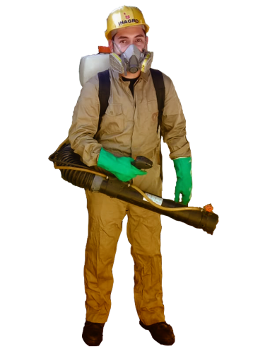 Servicios de control de plagas Paraguay, Eliminación de todo tipo de plagas, roedores, cucarachas, mosquitos, hormigas, termitas, chinches, arañas, avispas, pulgas, grillos y más.